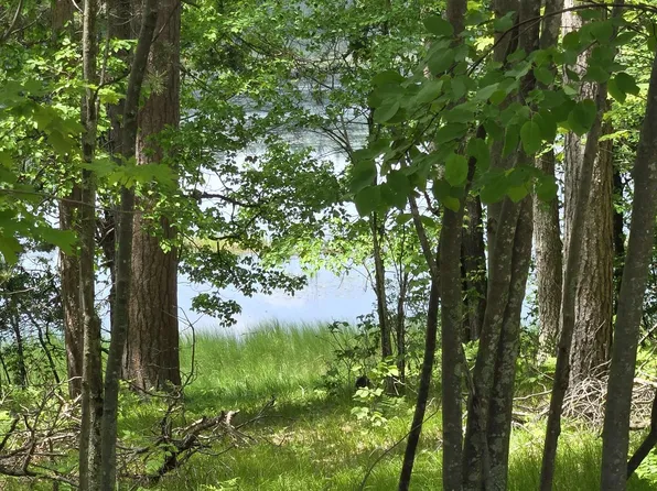 Martin Ln Lot 4, Mountain, WI 54149