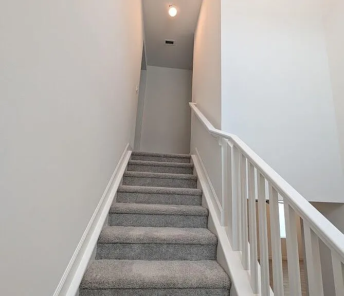 4315 Sylvester Palm Dr — Photo 12