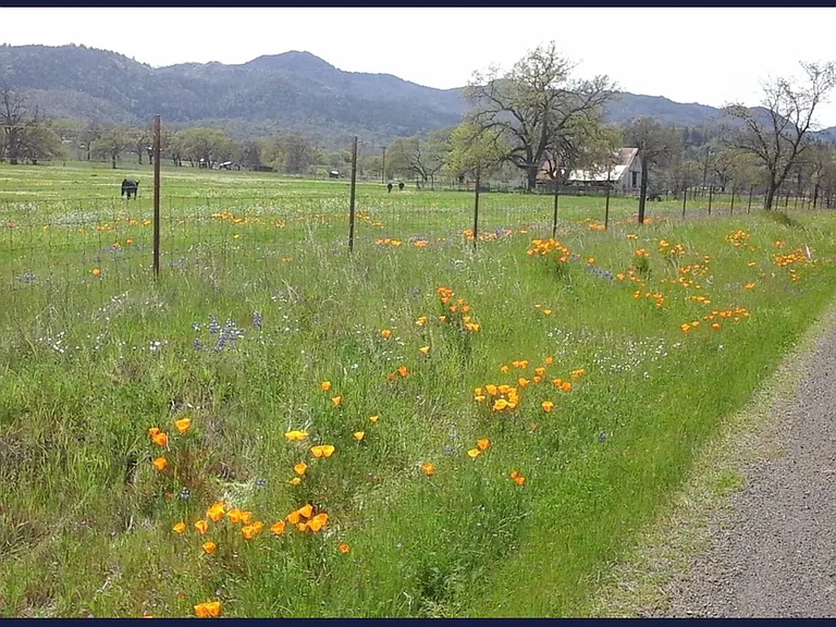 7640 Butts Canyon Rd — Photo 30