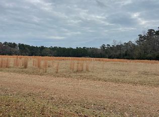 Gurley Rd TRACT B3, Loris, SC 29569