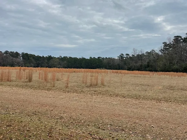TBD Gurley Rd. #Tract B3, Loris, SC 29569