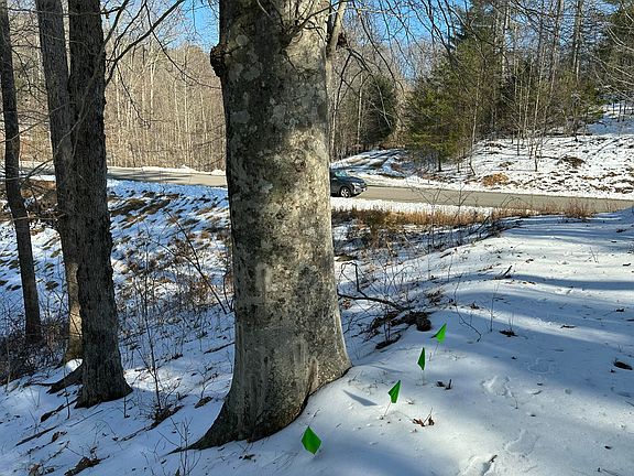 4th image of 42 Lakewatch Cir