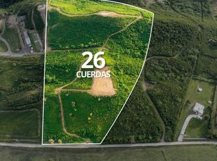 545 Carr Km 2.3 Parcela #4, Coamo, PR 00769