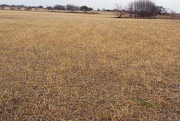 4th image of 225 County Road 309
