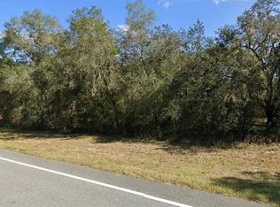 11483 S Florida Ave, Floral City, FL 34436