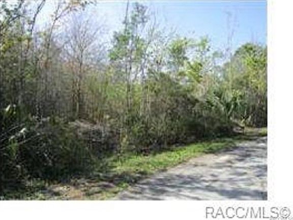 4th image of 8146 W Anna Gail Ln