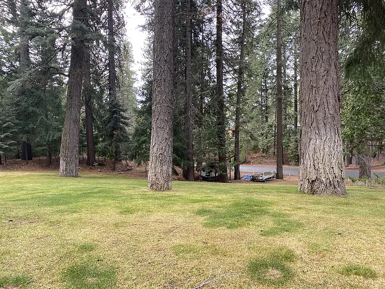 1843 Highland Dr — Photo 8