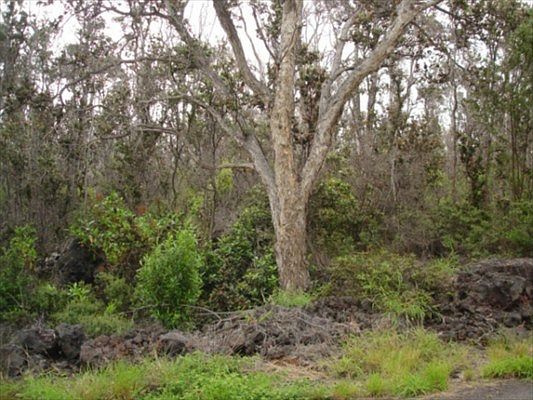 1st image of Lei Pkwy Lot 33
