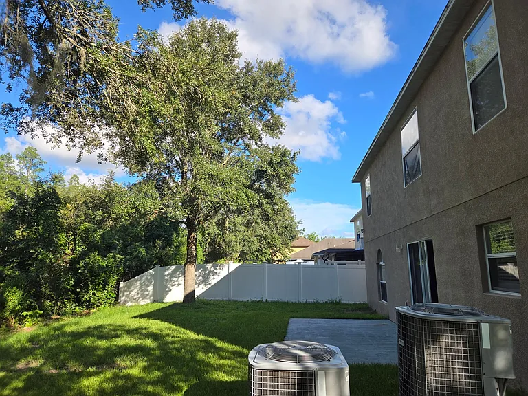 Backyard
