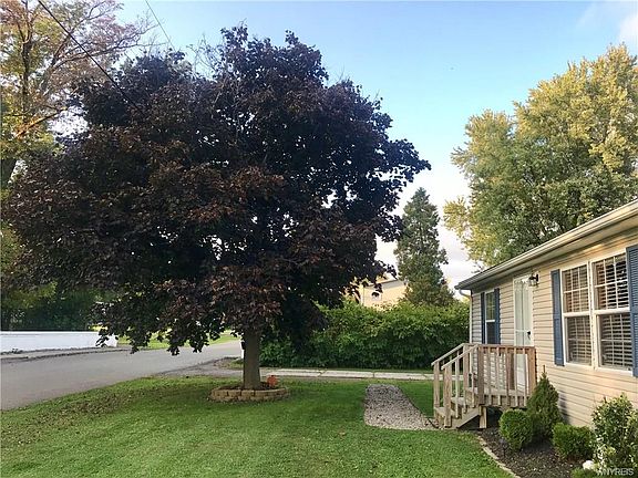 5th image of 10637 Elm St