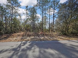 3921 N Longvalley Rd, Hernando, FL 34442