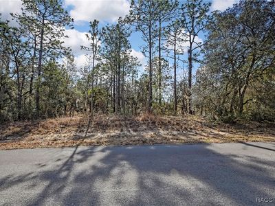 3921 N Longvalley Rd, Hernando, FL, 34442