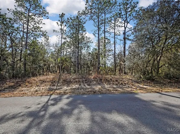3921 N Longvalley Rd, Hernando, FL 34442