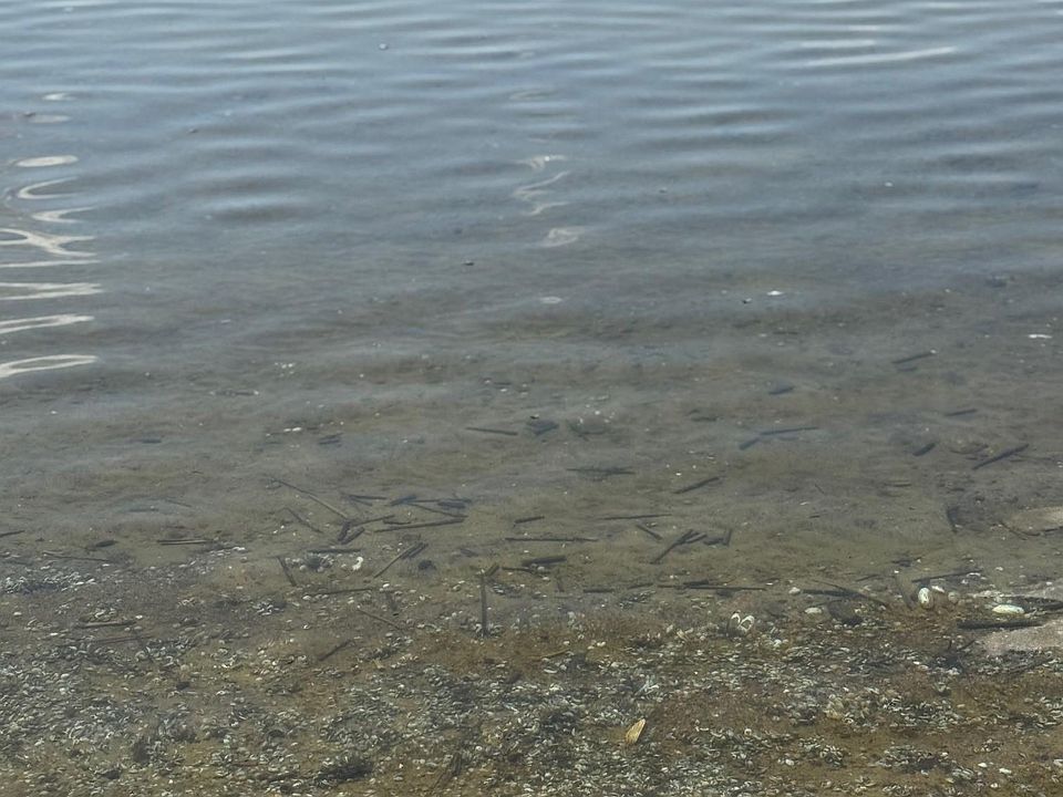 2nd image of Lakeview Ln