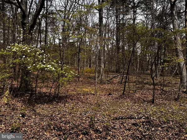 Sugar Run Subd, Romney, WV 26757