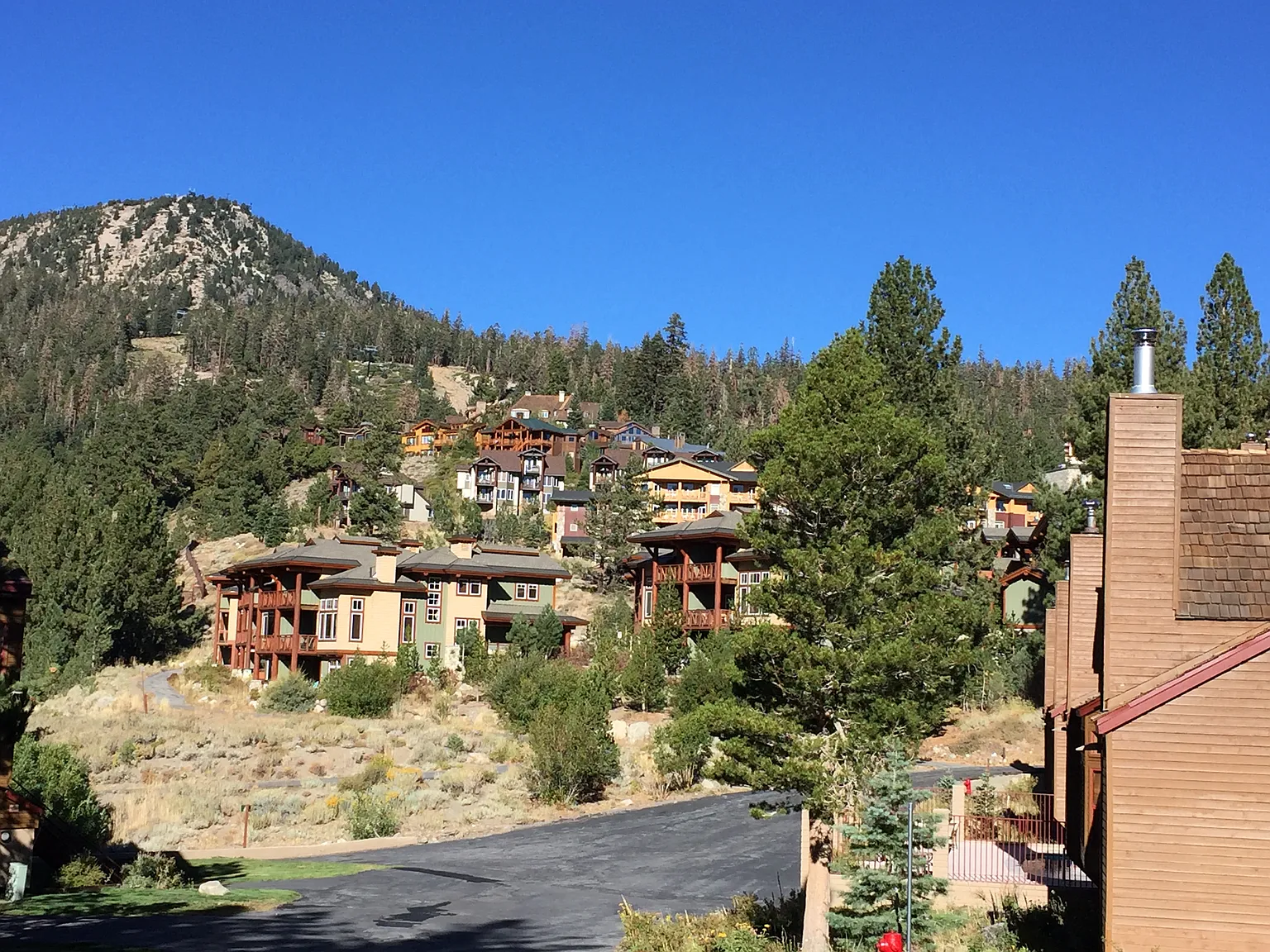 1 bed, 878 sqft, $5,000 — Photo 4