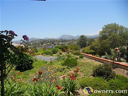 View from the back yard