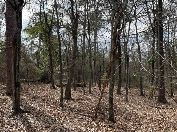 Tbd Cr 2432, Pittsburg, TX 75686