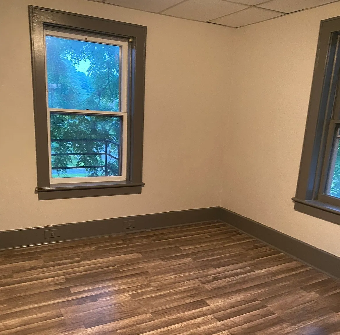 1 bed, $950 — Photo 3