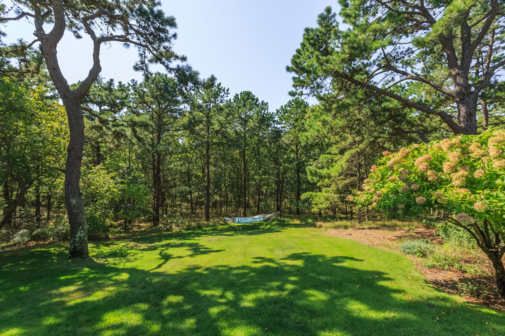  Rolling Lawns - 5.5 Acres