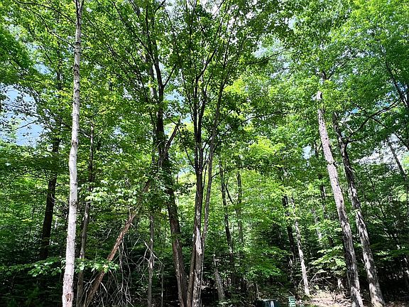 3rd image of LOT 33 White Pine Loop