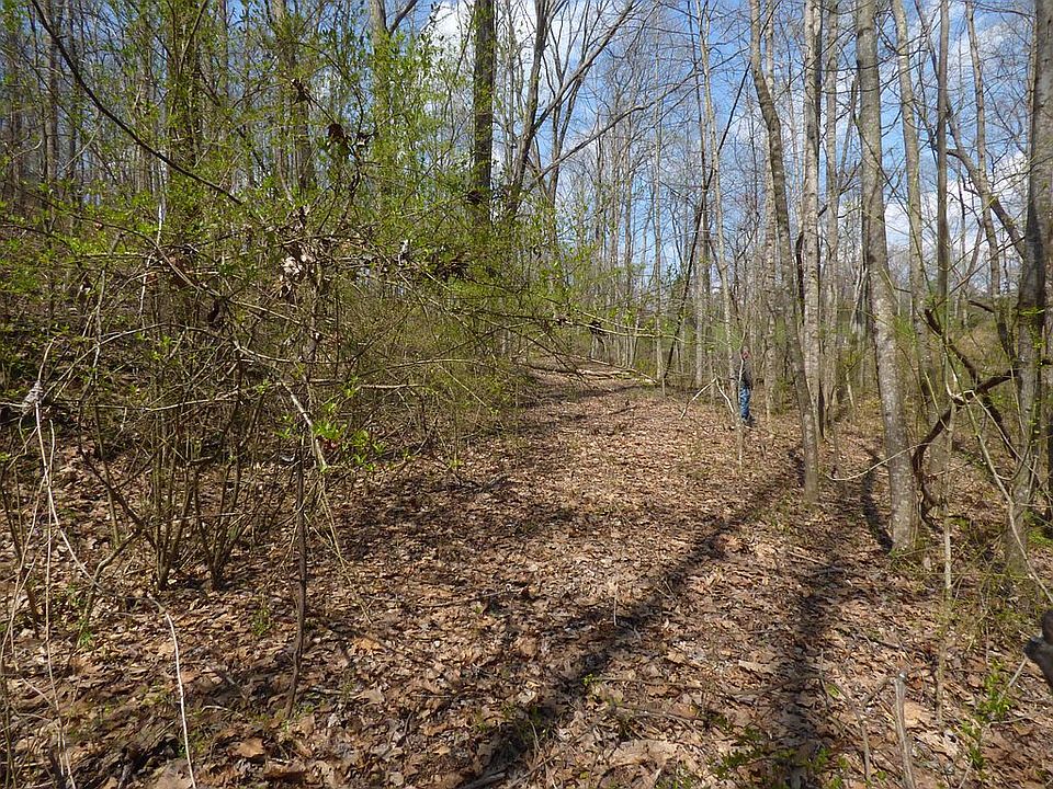 Drive way up to street.