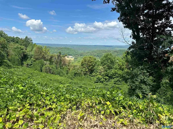 21 / Acres Alabama Hwy #117, Mentone, AL 35984