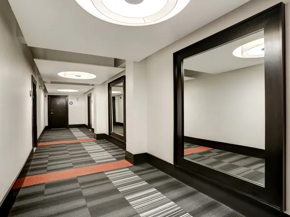 Shelby, 1706 T St NW #1-104, Washington, DC 20009