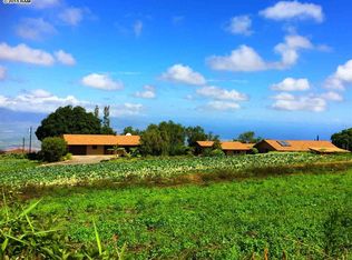 281 Hapapa Rd, Kula, HI 96790