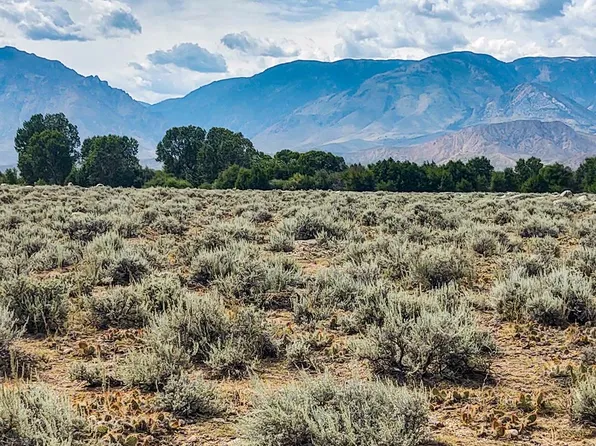 TBD Tepee Ring Road, Powell, WY 82435