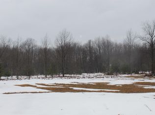 15906 Lindy Rd, Thompsonville, MI 49683