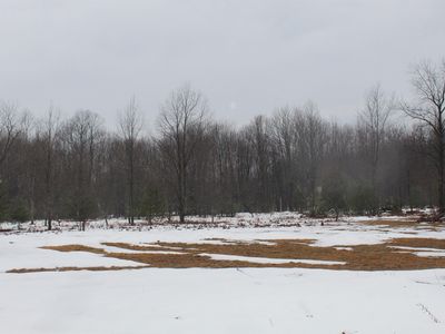 15906 Lindy Rd, Thompsonville, MI, 49683