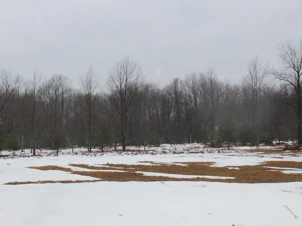 15906 Lindy Rd, Thompsonville, MI 49683