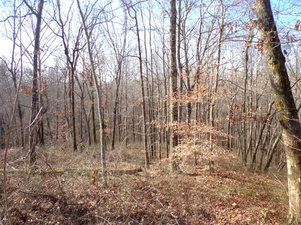 0 Deer Grass Ln Lot 57, Hurricane Mills, TN 37078