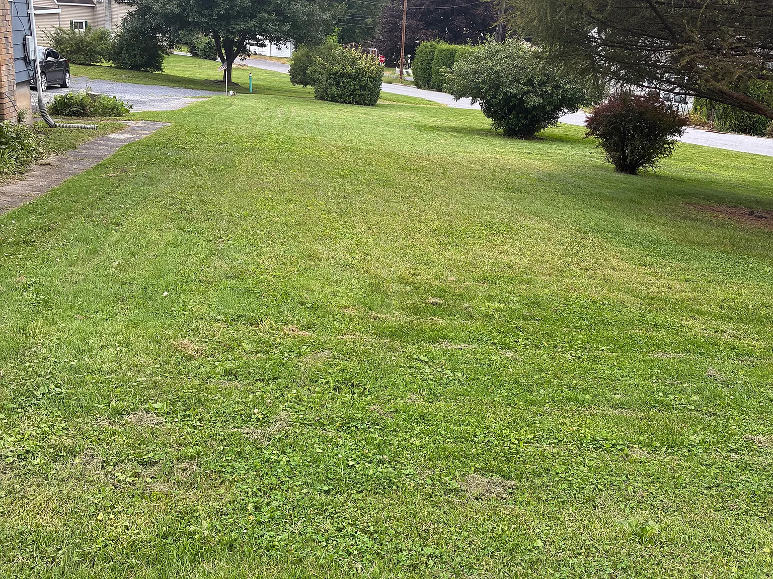 2 bed, 560 sqft, $1,000 — Photo 2