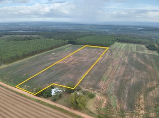 High Bluff Rd, Hartford, AL 36344