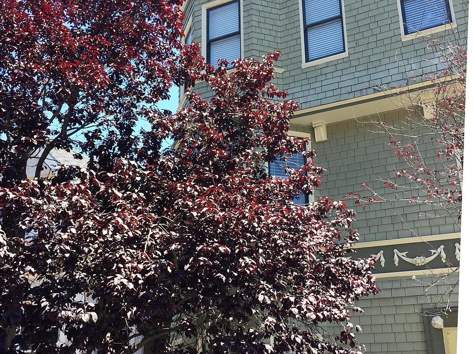 1st image of 12 Woodland Ave #1