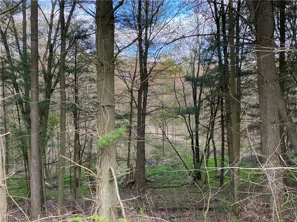 31335 McKaig Rd, Hanoverton, OH 44423