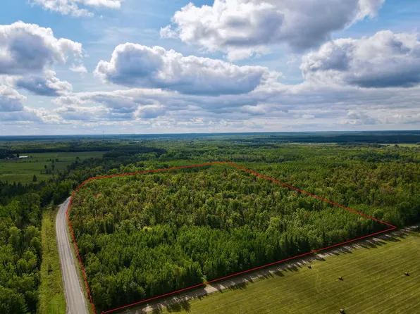 37139 Hanson Rd, Bigfork, MN 56628