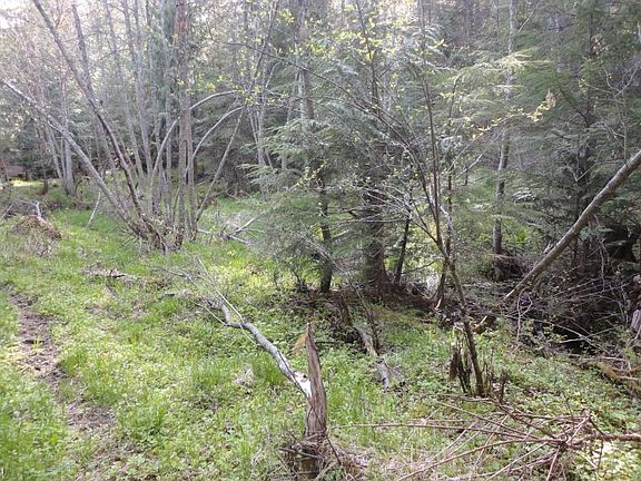 4th image of Tamarack Creek