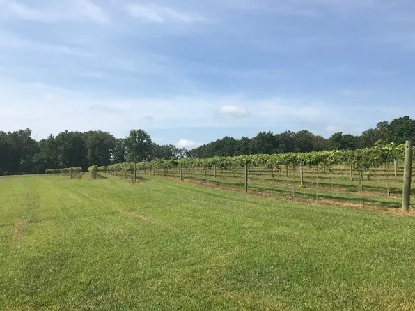 742 Vintage Dr, Baxter, TN 38544