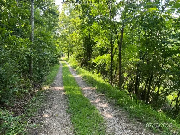 1232 Left Fork Joels Branch Rd, Genoa, WV 25517