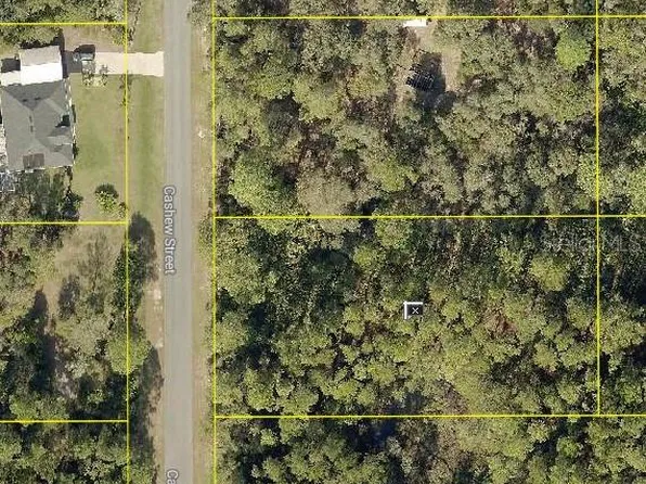 (undisclosed Address), Eustis, FL 32736
