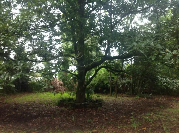 7 Northeast Ave, Trenton, FL 32693
