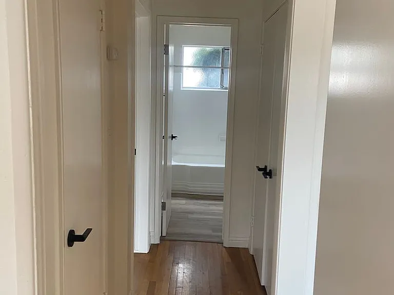 Antone Apartments — Photo 113