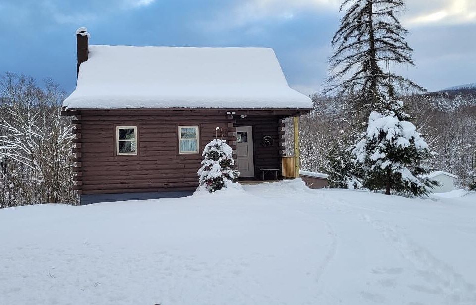 469 Bates Hollow Road, Preston Hollow, NY 12469 Zillow