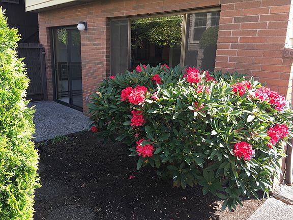 Enclosed Patio