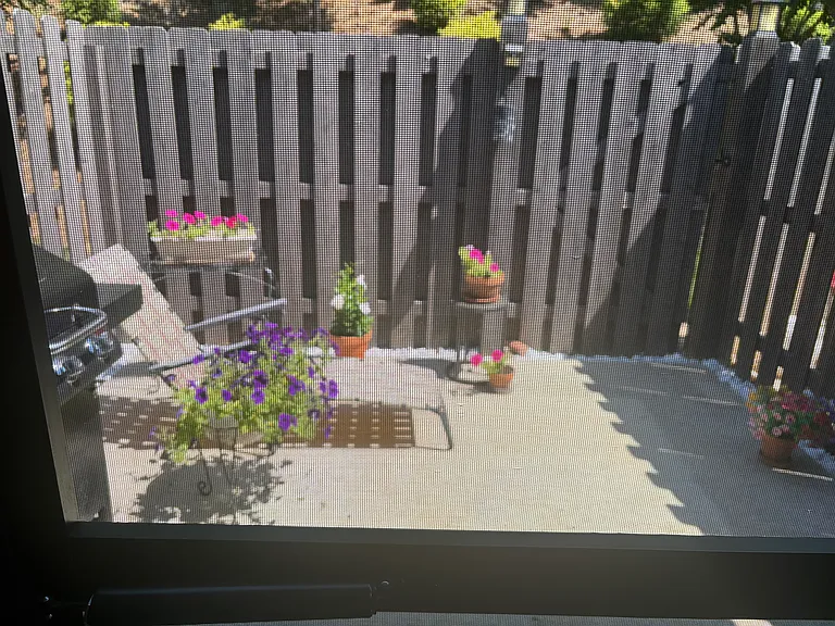Saint Elizabeth Dr — Photo 10