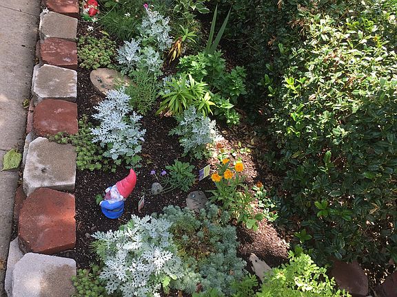 Front Porch Garden