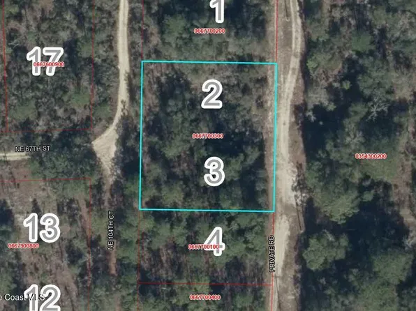 0 NE 67th St, Bronson, FL 32621